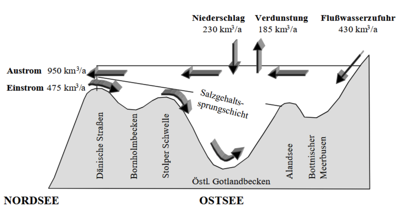 Schematische Darstellung des Wasseraustauschs und Salzgehalts zwischen Nordsee und Ostsee.